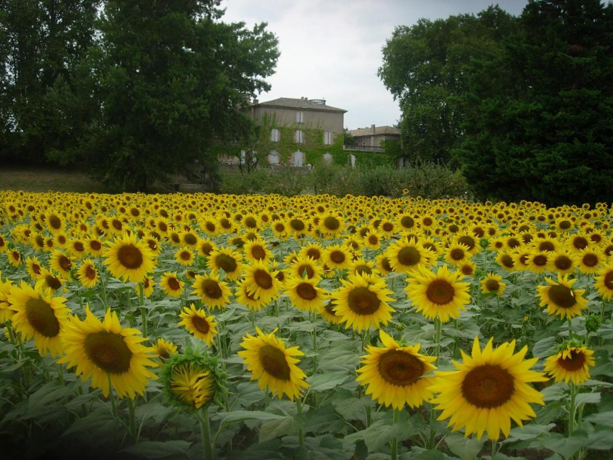 Domaine De Lamartine Pont-Saint-Esprit Eksteriør billede