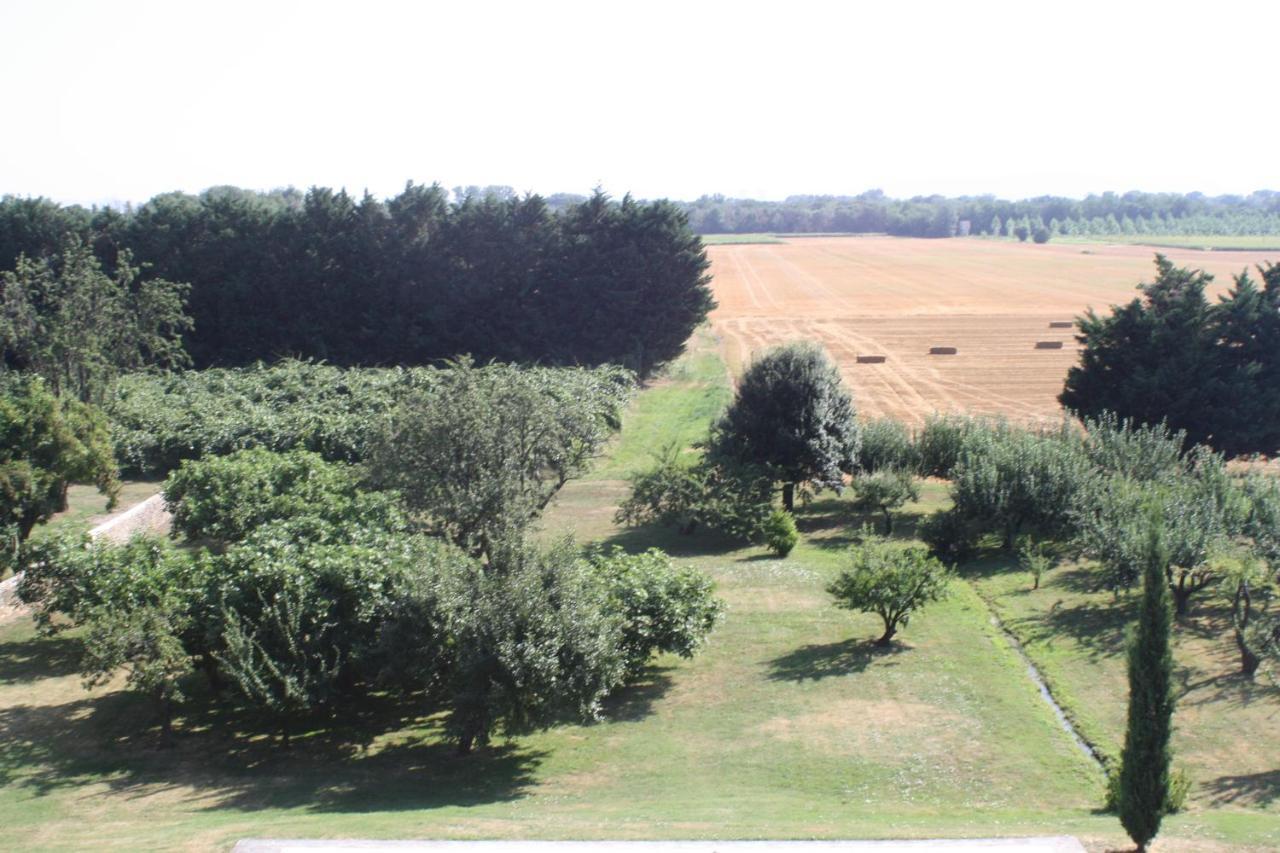Domaine De Lamartine Pont-Saint-Esprit Eksteriør billede